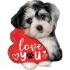 Puppy Love  Balloon in a Box Small Image