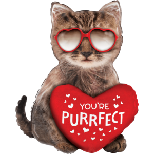 You're Purrfect Cat Balloon in a Box