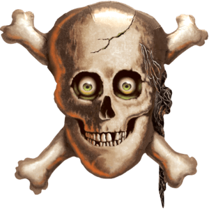 Skull & Crossbones Balloon in a Box